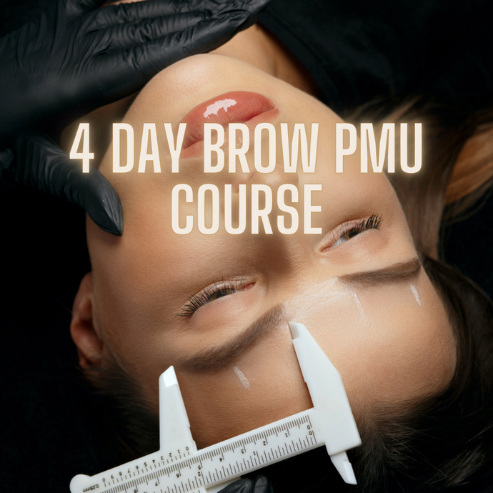 4 DAY PERMANENT MAKEUP COURSE